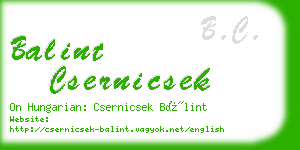 balint csernicsek business card